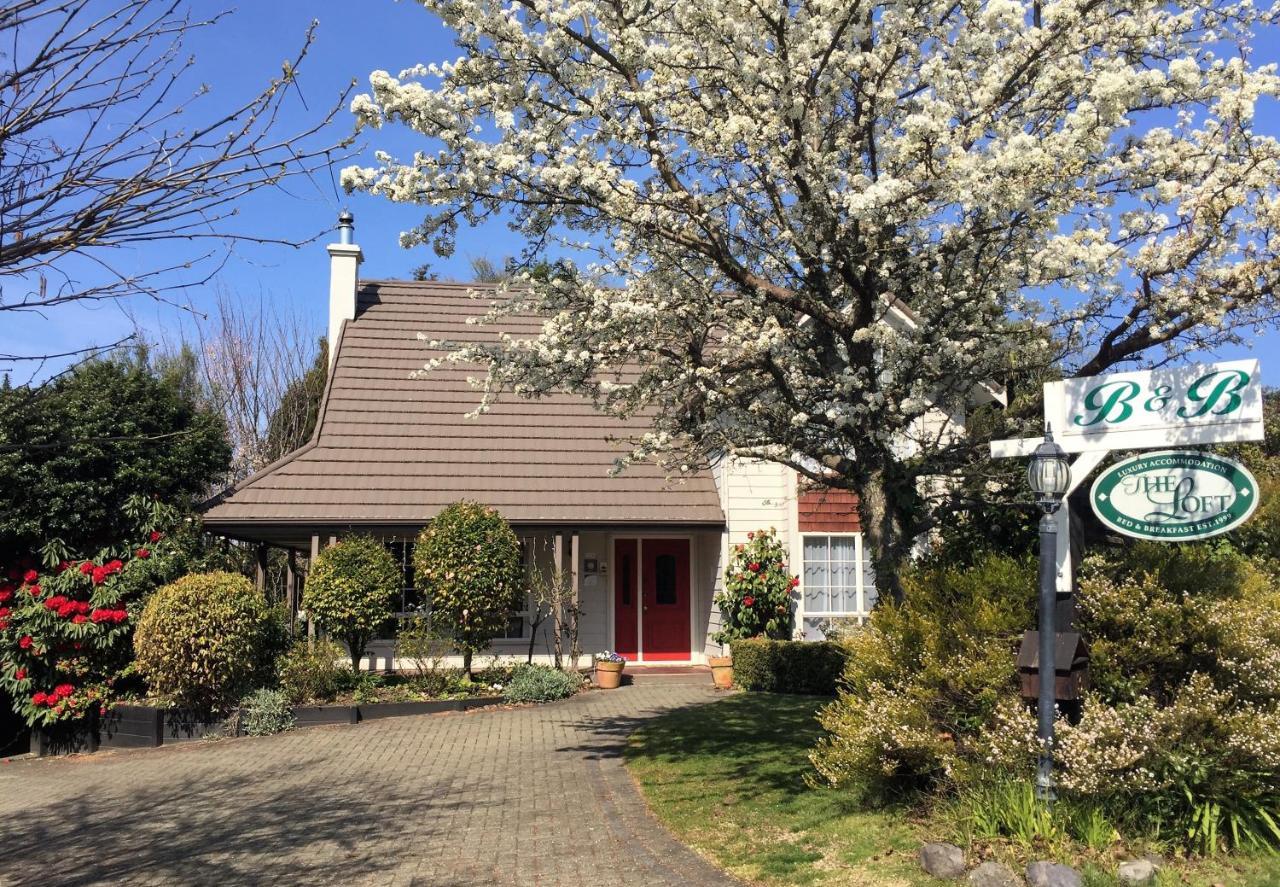 陶波 阁楼旅馆酒店 外观 照片